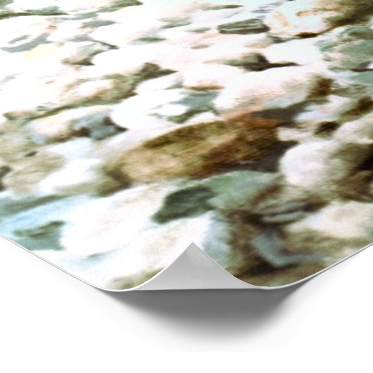 Print Brook Trout ポスター (角)