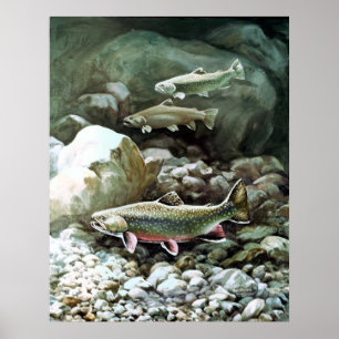Print Brook Trout ポスター