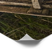 Print - North Rustico Light, PEI, Canada ポスター (角)