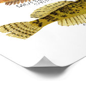 Print, Value Poster Paper (Matte) ポスター (角)