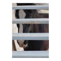 Print, Value Poster Paper (Semi-Gloss)