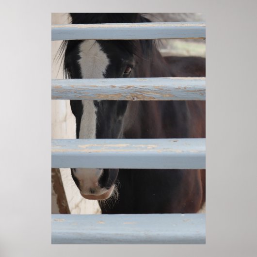 Print, Value Poster Paper (Semi-Gloss) ポスター (正面)