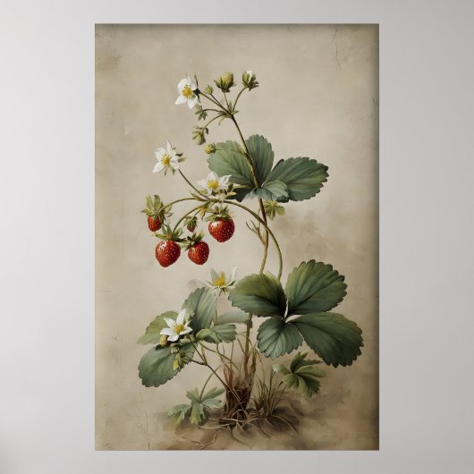 Printable Strawberry Berry Wall Art, Antique ポスター (正面)