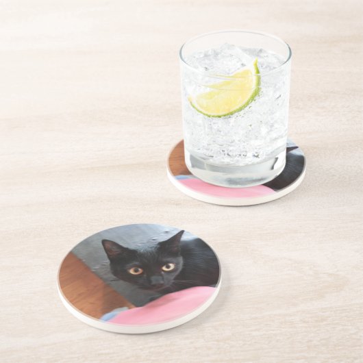 Priscilla猫 コースター (側面)