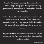 PRISMチャウ – オプションの選択 ノートブック