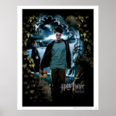 Prisoner of Azkaban - French 3 ポスター (正面)