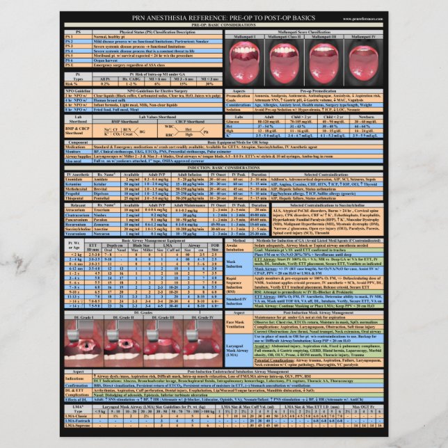 PRN麻酔リファレンス – 基本 (正面)