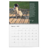 PRO 2025 25周年記念カレンダー カレンダー (2月 2027)