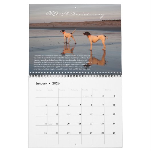 PRO 2025 25周年記念カレンダー カレンダー (1月 2026)