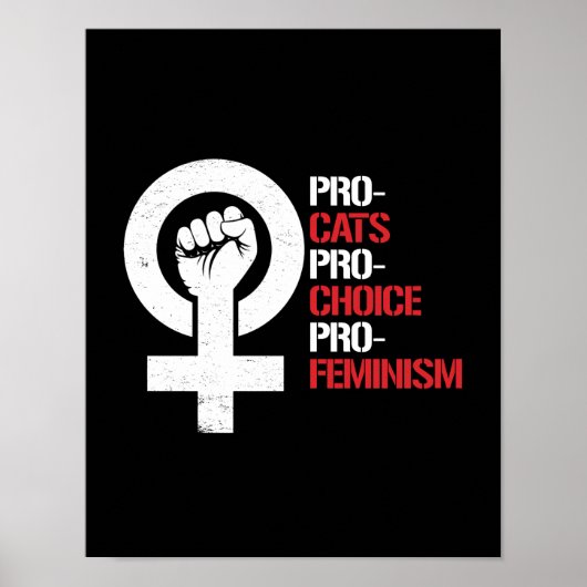 Pro-Cats Pro-Choice Pro-Feminism – ホワイト – ポスター (正面)
