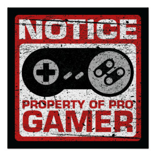 Pro GamerのNoticeプロパティ ポスター