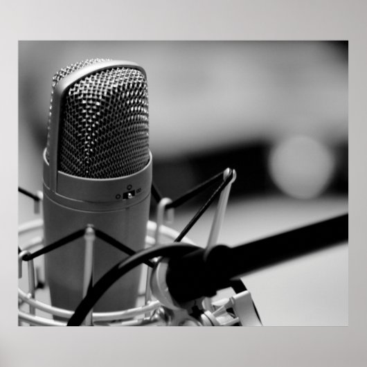 PRO MICROPHONE ポスター (正面)