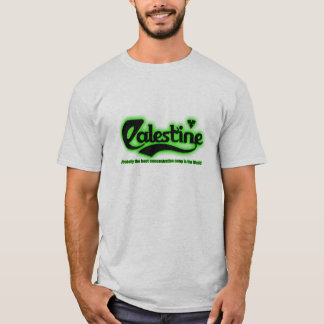 proballyパレスチナ tシャツ