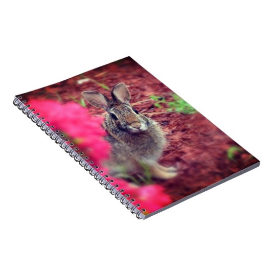 Problem Me Bunny Spiral Journal ノートブック (右側)