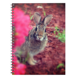 Problem Me Bunny Spiral Journal ノートブック