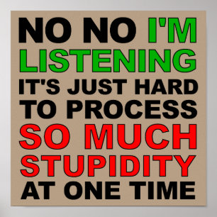 Process Your Stupidity Funny Poster Sign ポスター