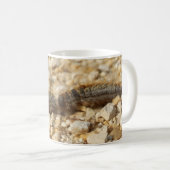 Processionary Caterpilles Bug Mug コーヒーマグカップ (正面右)