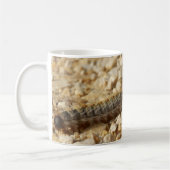 Processionary Caterpilles Bug Mug コーヒーマグカップ (左)