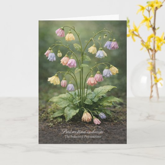 Procrastina indecisa The Indecisive Procrastinator カード (黄色い花)