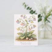 Procrastina indecisa The Indecisive Procrastinator ポストカード (スタンド正面)