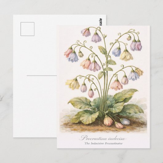 Procrastina indecisa The Indecisive Procrastinator ポストカード (正面/裏面)