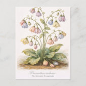 Procrastina indecisa The Indecisive Procrastinator ポストカード (正面)