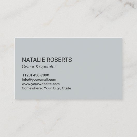 Professional House Cleaning Service Blue Silver 名刺 (裏面)