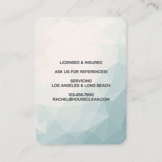 Professional House Cleaning Service Housekeeping 名刺 (裏面)