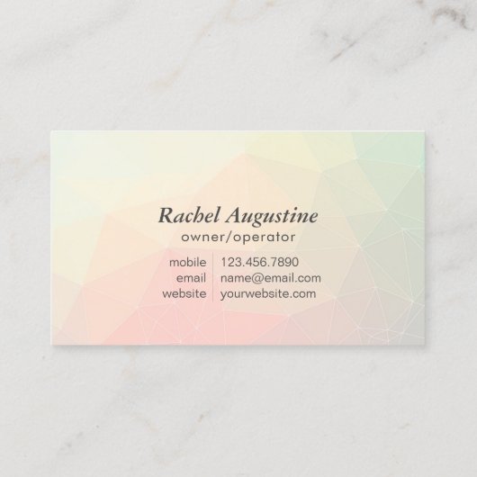 Professional House Cleaning Service Housekeeping 名刺 (裏面)