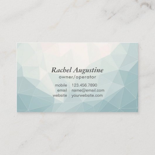 Professional House Cleaning Service Housekeeping 名刺 (裏面)