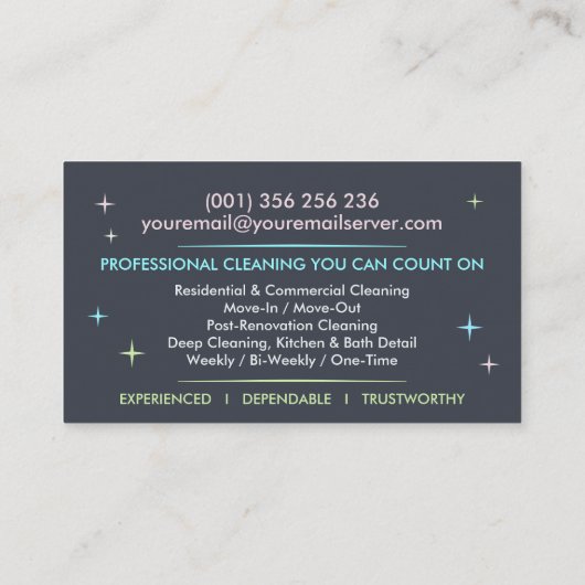 Professional House Cleaning Services Business Card 名刺 (裏面)