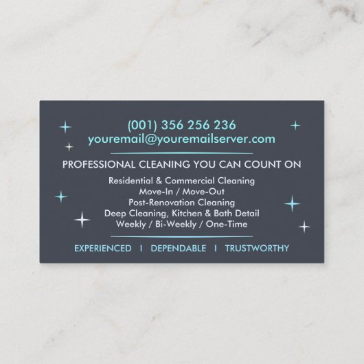 Professional House Cleaning Services Business Card 名刺 (裏面)
