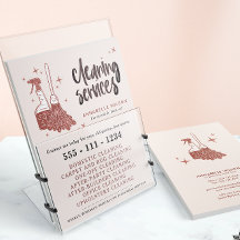 Professional Maid & House Cleaning Business 