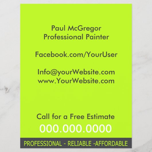 Professional Painter Flyer チラシ (裏面)