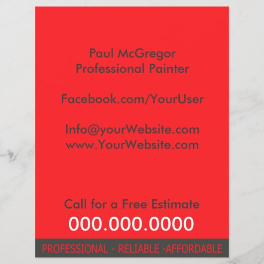 Professional Painter Flyer チラシ (裏面)