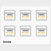 Professionally Owned By A Cat Funny Sticker スクエアシール (シート)