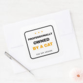 Professionally Owned By A Cat Funny Sticker スクエアシール (封筒)