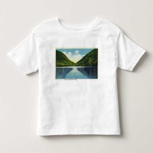 profile湖のFranconiaのノッチの州立公園の眺め トドラーTシャツ (正面)