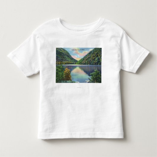 profile湖のFranconiaのノッチの眺め トドラーTシャツ (正面)