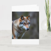 Program  プログラム (正面)