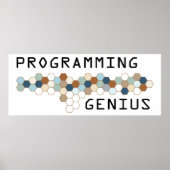 Programming Genius ポスター (正面)