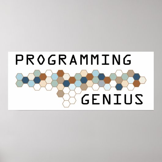 Programming Genius ポスター (正面)