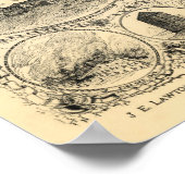 Progress of St Louis - 1884 (Vogel) BigMapBlog.com ポスター (角)