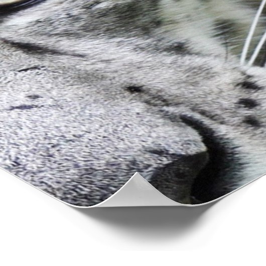 Project Avalon Poster (Dark) ポスター (角)