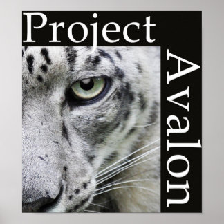 Project Avalon Poster (Dark) ポスター