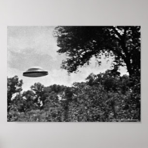 Project Blue Book-UFO over Treesポスター ポスター