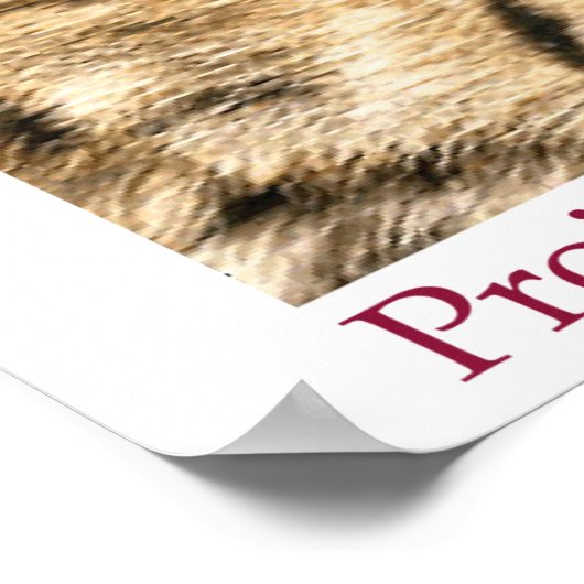 Project Camelot Poster ポスター (角)