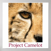 Project Camelot Poster ポスター (正面)