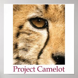 Project Camelot Poster ポスター