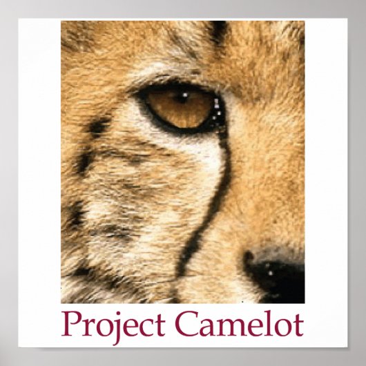 Project Camelot Poster ポスター (正面)